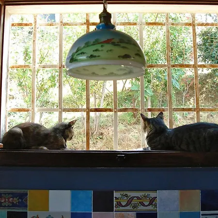 Le Stipedisopra Bed and breakfast *