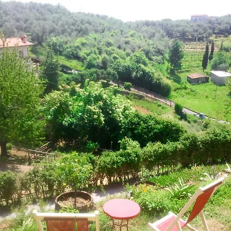 Le Stipedisopra Bed and breakfast Pietrasanta