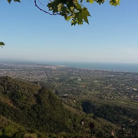 Le Stipedisopra * Pietrasanta